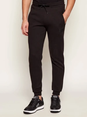 EA7 Spodnie dresowe | Regular Fit