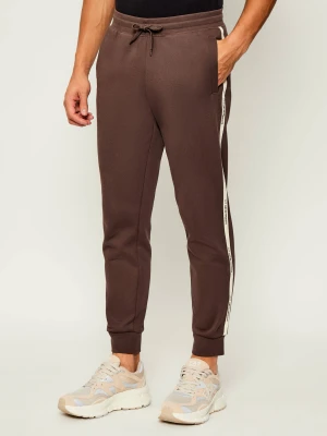 EA7 Spodnie dresowe | Regular Fit