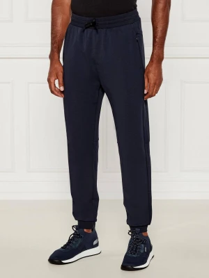 EA7 Spodnie dresowe | Regular Fit