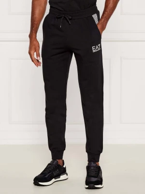 EA7 Spodnie dresowe | Regular Fit