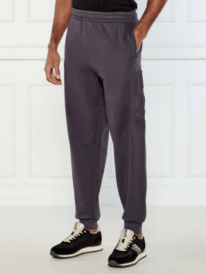EA7 Spodnie dresowe | Regular Fit