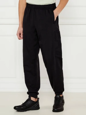 EA7 Spodnie dresowe | Regular Fit