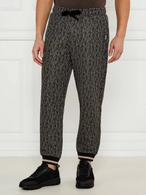 EA7 Spodnie dresowe | Regular Fit