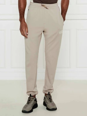 EA7 Spodnie dresowe | Regular Fit