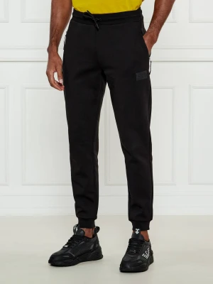 EA7 Spodnie dresowe | Regular Fit czarny