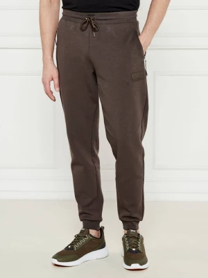 EA7 Spodnie dresowe | Regular Fit