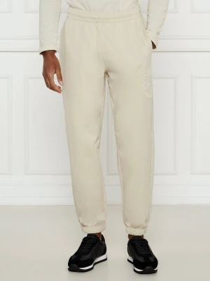 EA7 Spodnie dresowe | Regular Fit