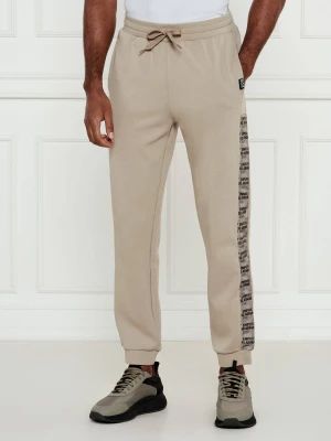EA7 Spodnie dresowe | Regular Fit