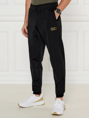 EA7 Spodnie dresowe | Regular Fit czarny