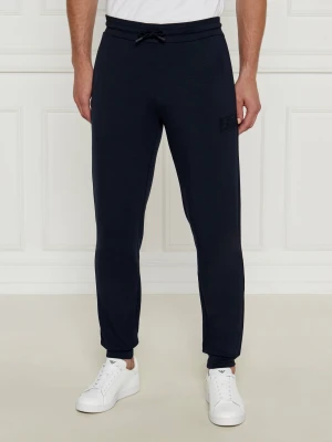 EA7 Spodnie dresowe | Regular Fit