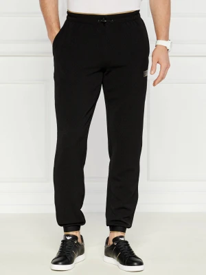 EA7 Spodnie dresowe | Regular Fit czarny