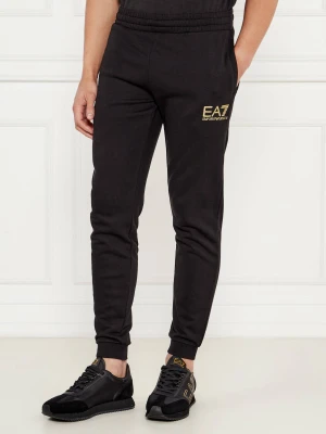 EA7 Spodnie dresowe | Regular Fit