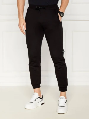 EA7 Spodnie dresowe | Regular Fit
