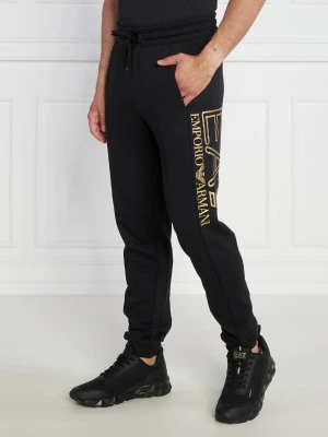 EA7 Spodnie dresowe | Regular Fit czarny