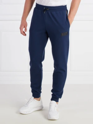 EA7 Spodnie dresowe | Regular Fit
