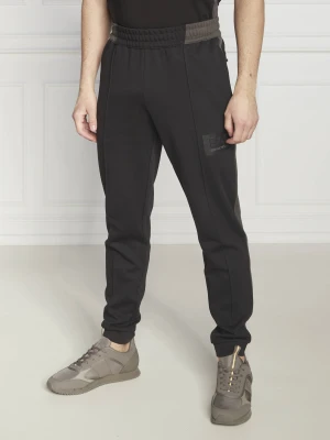 EA7 Spodnie dresowe | Regular Fit