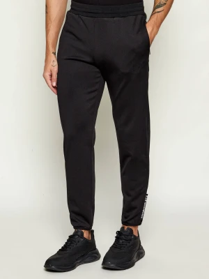 EA7 Spodnie dresowe | Regular Fit