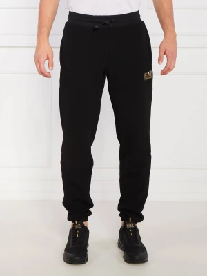 EA7 Spodnie dresowe | Regular Fit