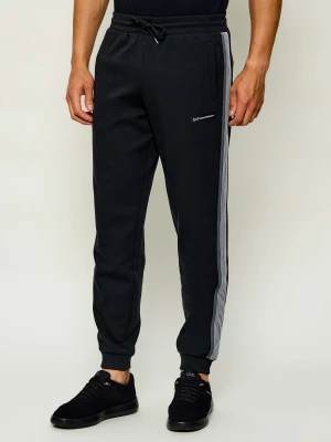 EA7 Spodnie dresowe | Regular Fit czarny