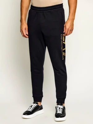 EA7 Spodnie dresowe | Regular Fit