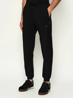 EA7 Spodnie dresowe | Regular Fit
