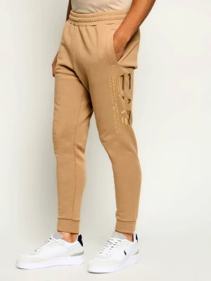 EA7 Spodnie dresowe | Regular Fit