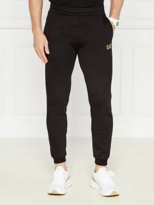 EA7 Spodnie dresowe | Slim Fit