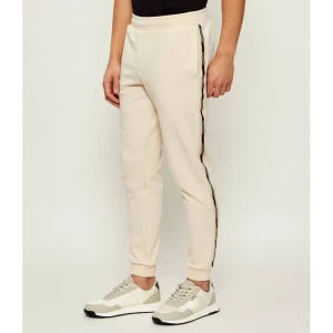 EA7 Spodnie dresowe | Slim Fit
