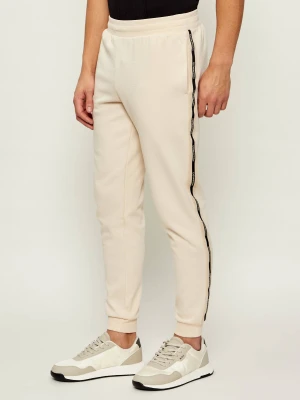 EA7 Spodnie dresowe | Slim Fit