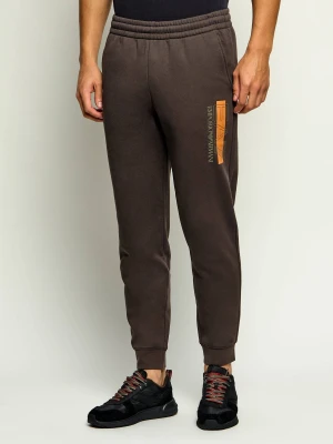 EA7 Spodnie dresowe | Slim Fit brązowy