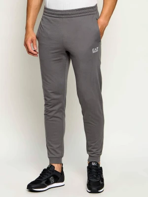 EA7 Spodnie dresowe | Slim Fit szary