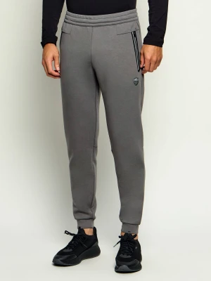 EA7 Spodnie dresowe | Slim Fit szary