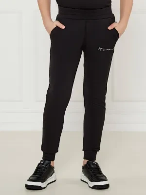 EA7 Spodnie | Regular Fit