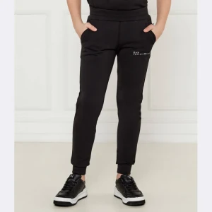 EA7 Spodnie | Regular Fit
