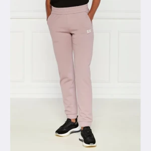 EA7 Spodnie dresowe | Regular Fit