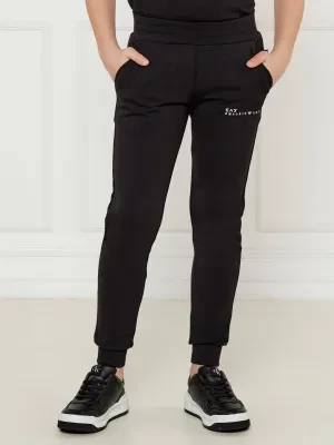 EA7 Spodnie | Regular Fit