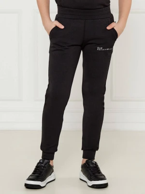 EA7 Spodnie | Regular Fit