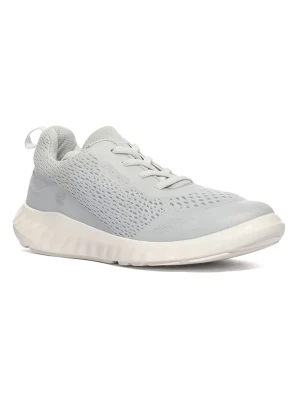 Ecco Sneakersy "Sp. 1 Lite" w kolorze szarym rozmiar: 33