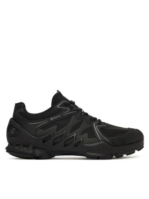 ECCO Trekkingi Biom Aex GORE-TEX 80288351094 Czarny
