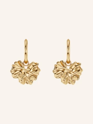 Edblad Kolczyki Gerana gold