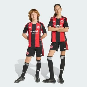 Eintracht Frankfurt 25/26 Home Shorts Adidas