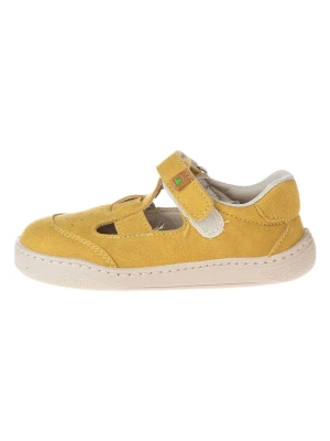 El Naturalista Baleriny w kolorze żółtym do chodzenia na boso rozmiar: 25