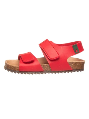 El Naturalista Sandały w kolorze czerwonym rozmiar: 27