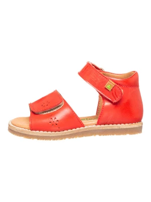 El Naturalista Skórzane sandały "Atenas" w kolorze czerwonym rozmiar: 32