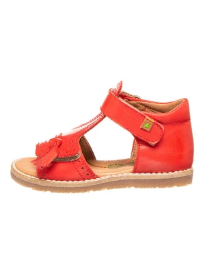 El Naturalista Skórzane sandały "Atenas" w kolorze czerwonym rozmiar: 31