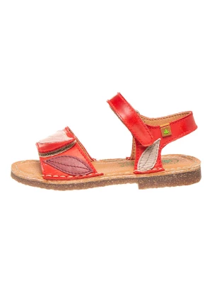 El Naturalista Skórzane sandały "Ibiza" w kolorze czerwonym rozmiar: 33