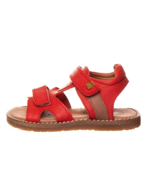 El Naturalista Skórzane sandały w kolorze czerwonym rozmiar: 31