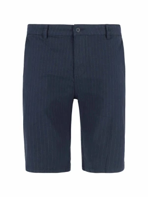 Eleganckie spodenki męskie w prążek P-ELFS Volcano