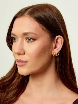 Elisabetta Franchi Kolczyki