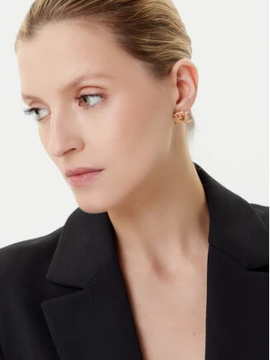 Elisabetta Franchi Kolczyki OR-02A-56E2-240 Złoty